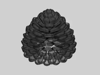 Decorative Pine Cone Free 3D model