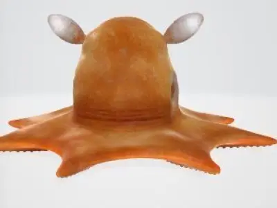 Flapjack octopus 3D model