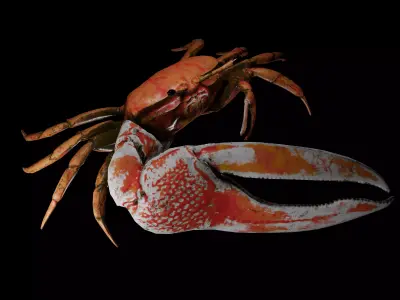 Crab Low Poly with PBR Textures Low-poly 3D model