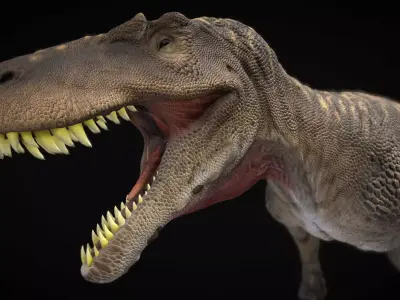 Torvosaurus Low-poly 3D model