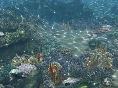 Underwater Coral Reef Habitat Ocean V3 Low-poly 3D model