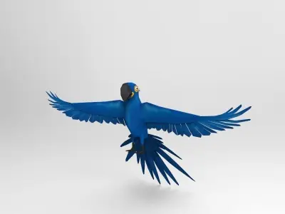 Blue Bird Parrot  Low-poly 3D model