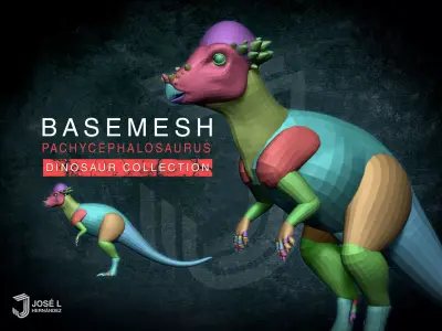 Basemesh Pachycephalosaurus 3D model