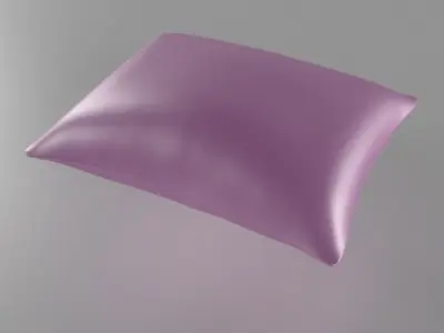  Pillows 3d pack Free 3D model