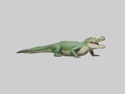Lying Crocodile Model 1 Low-poly 3D model