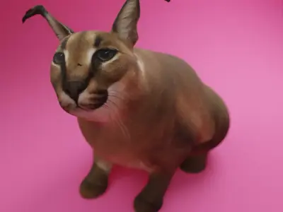 BIG FLOPPA 3D Model Free low-poly 3D model