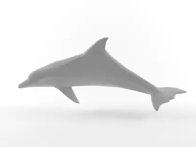 Low Poly Dolphin Low-poly 3D model