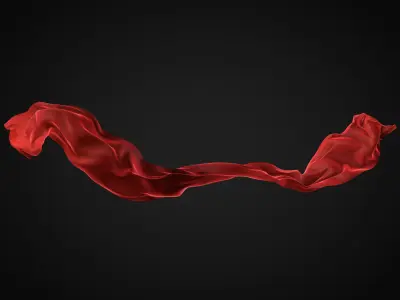 Cloth simulation 3D model