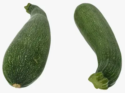 Zucchini Set 02 3D model