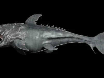 Dunkleosteus shark Low-poly 3D model