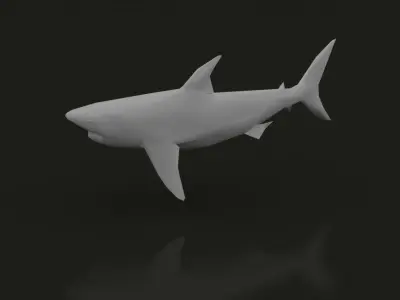 Low Poly Great White Shark Low-poly 3D model