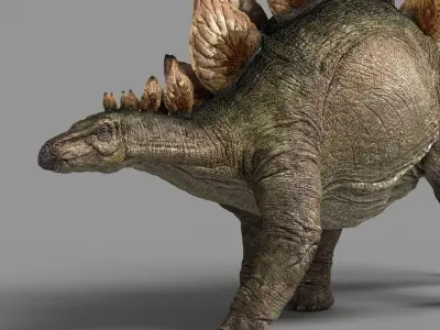 Stegosaurus animations Low-poly 3D model