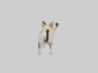 Manx Cat playing model 3 hands Low-poly 3D model