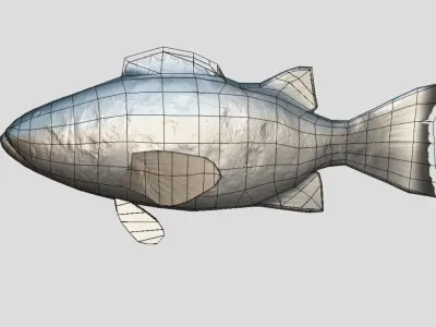Giant Sea Bass  Realistic Animated Low-poly 3D model