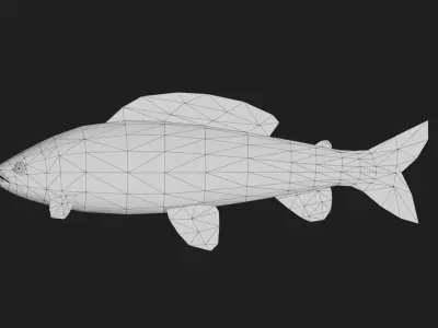 Grayling Low-poly 3D model
