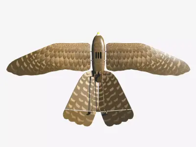 Aerium Robird falcon drone Low-poly 3D model