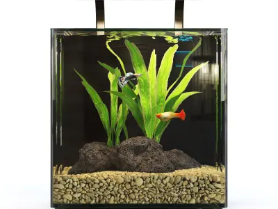 Contour Desktop MarineLande Aquarium 3D model