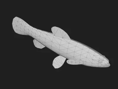 Carpfish Low-poly 3D model