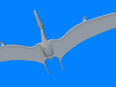 Pteranodon Sternbergi D 3D model