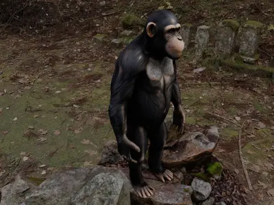 Chimpanzee Character - Realistic - Rigged - Animated for Games Low-poly 3D model