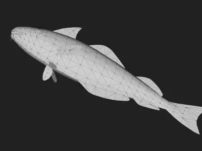 Cod fish Low-poly 3D model