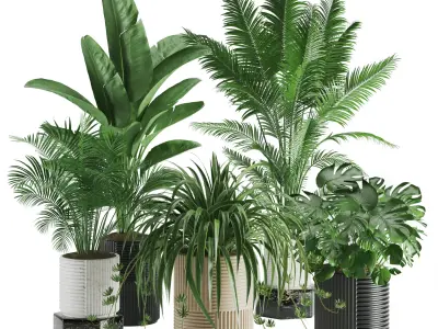 Indoor Plant Set 01 3D model