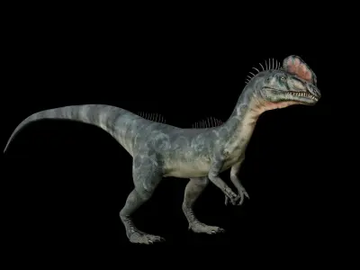 Dilophosaurus 3D Model dinosaur Low-poly 3D model