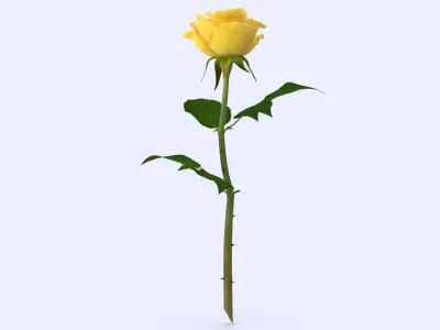 Rose 22 3D model
