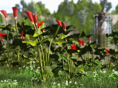 2020 XfrogPlants Flowers 1 Library  3D model