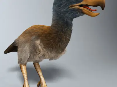Titanis Walleri - Terror Bird RIGGED and ANIMATED vs Smilodon Low-poly 3D model