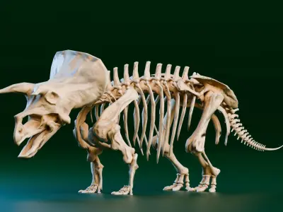 Realistic Ancient Reptilians Fossil - Triceratops Low-poly 3D model