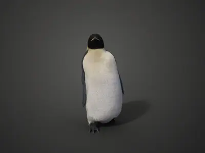 Emperor Penguin Rigged  VFX Grace 3D model