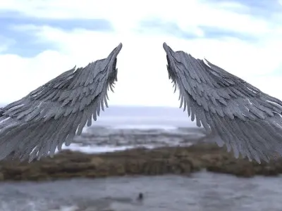 Harpy Wings 3D model