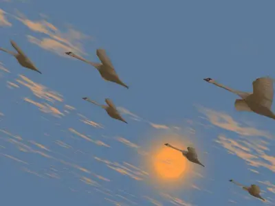Swans swan flying in sky Low-poly 3D model