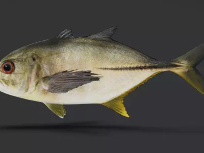 Giant Trevally Fish Animated 3D model