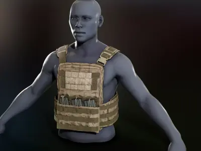 Crye Cage VEST Low-poly 3D model