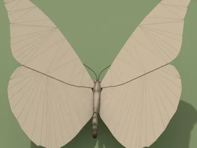 Monarch Butterfly 3D model