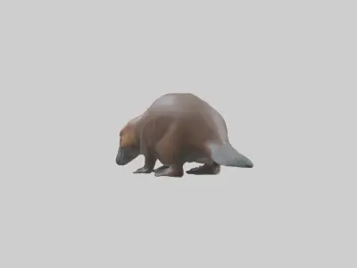 Platypus foraging model Low-poly 3D model