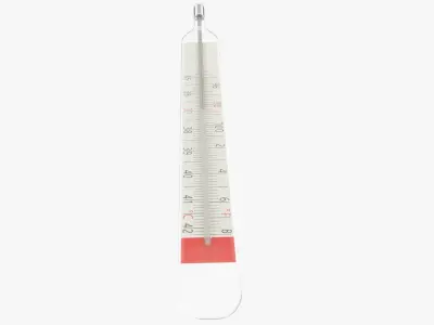 Medical Mercury Thermometer 3D model