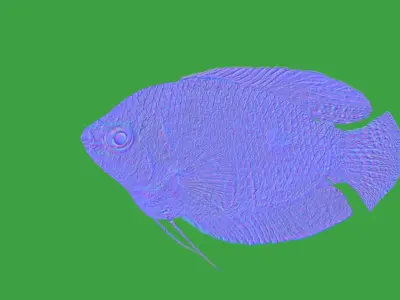 Gourami Fish Low-poly 3D model