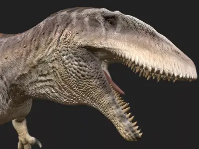 Carcharodontosaurus Low-poly 3D model
