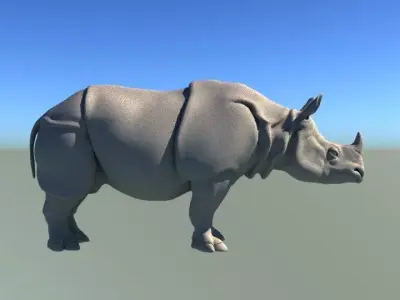 Rhino Body 3D model
