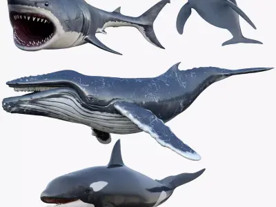  Set of Sea Animals Animated 8K Low-poly 3D model