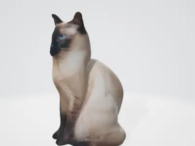Realistic Siamese Cat 3D Model 3D model