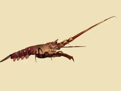 Lobster Low Ploy 3D model