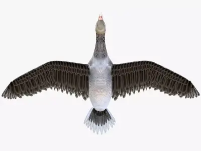 Goose bird rigged 3d model Low-poly 3D model