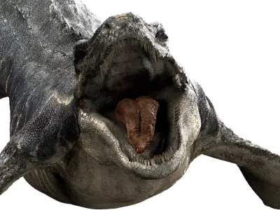 Mosa saurus (Rigged) 3D model