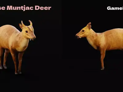 Chinese Muntjac Deer Free low-poly 3D model
