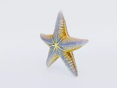 Starfish Free 3D model