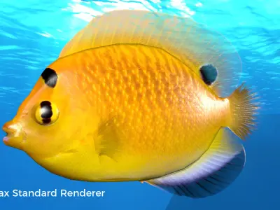 Yellow Angel Fish Low-poly 3D model